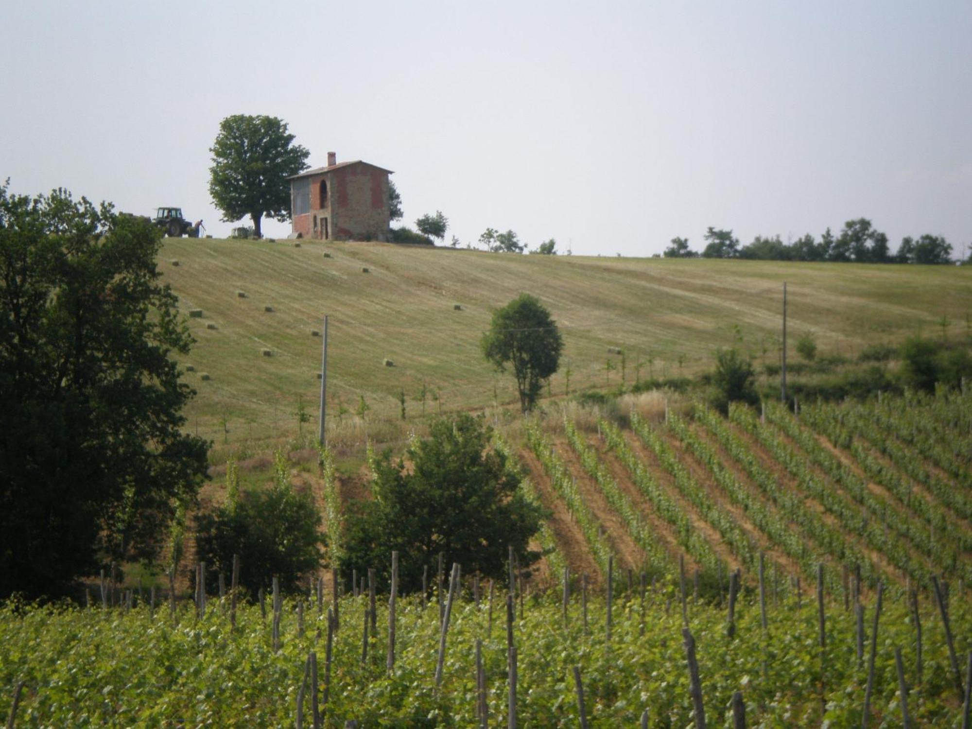 Cascina La Maddalena Bed & Wine Villa Rocca Grimalda Exterior photo